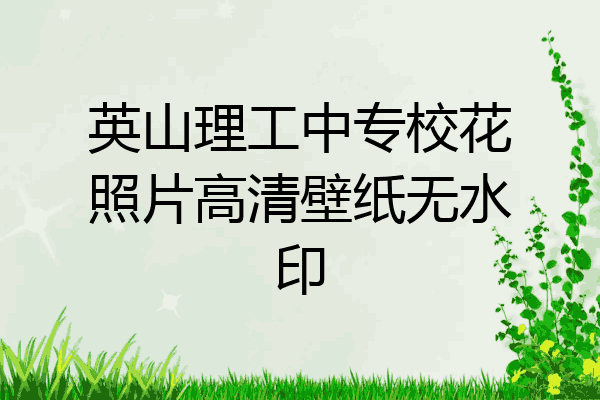 英山理工中专校花照片高清壁纸无水印