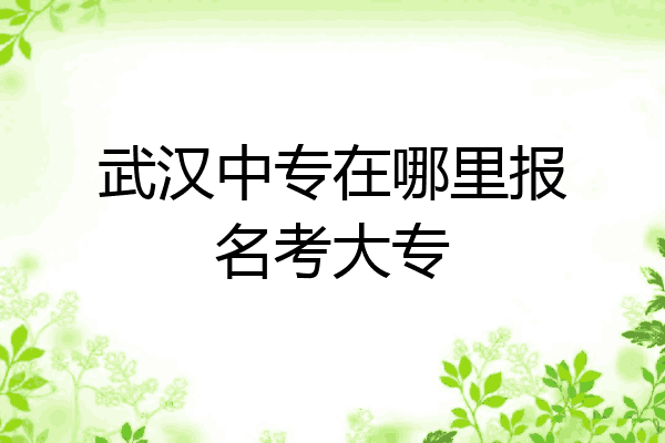 武汉中专在哪里报名考大专