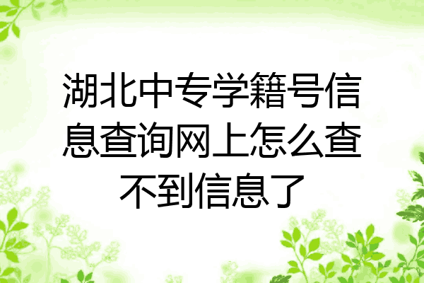 湖北中专学籍号信息查询网上怎么查不到信息了
