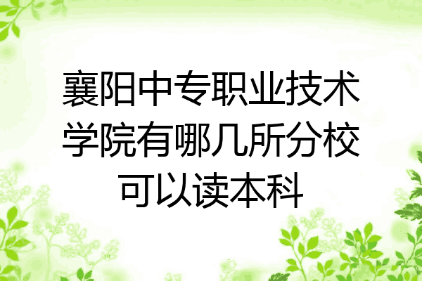 襄阳中专职业技术学院有哪几所分校可以读本科
