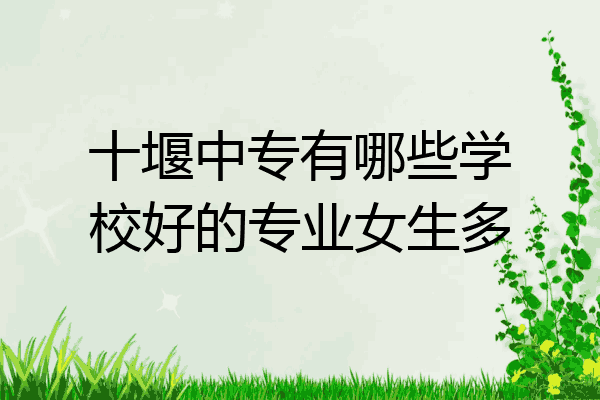 十堰中专有哪些学校好的专业女生多