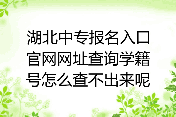 湖北中专报名入口官网网址查询学籍号怎么查不出来呢