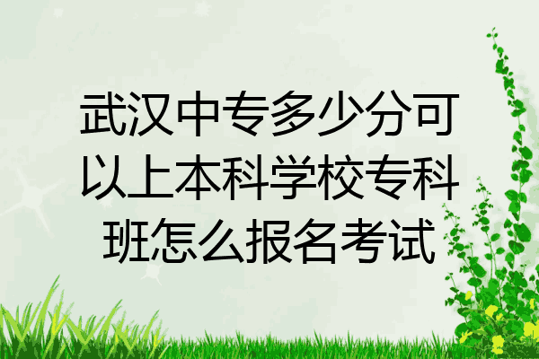 武汉中专多少分可以上本科学校专科班怎么报名考试