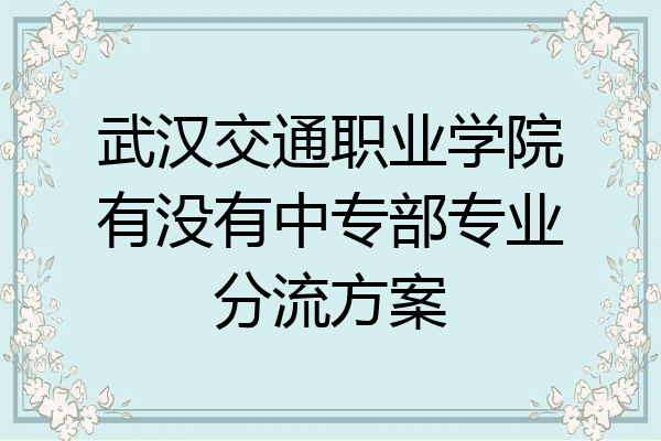 武汉交通职业学院有没有中专部专业分流方案