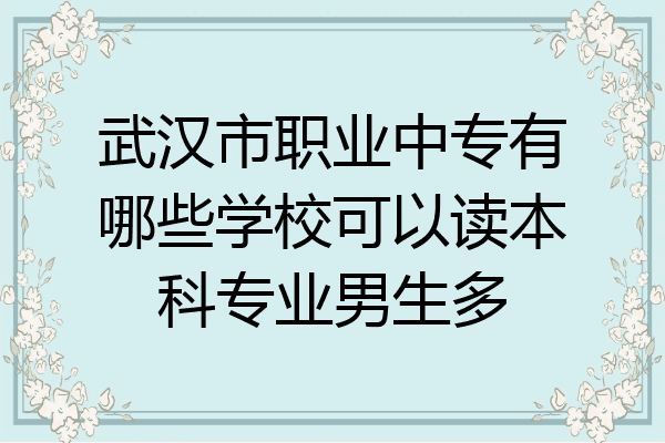 武汉市职业中专有哪些学校可以读本科专业男生多
