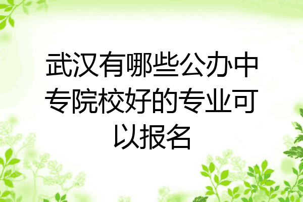武汉有哪些公办中专院校好的专业可以报名