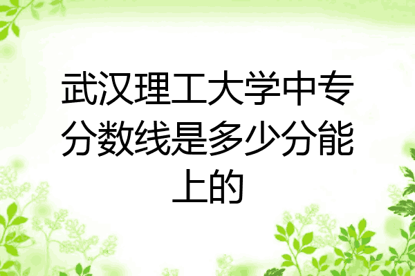武汉理工大学中专分数线是多少分能上的