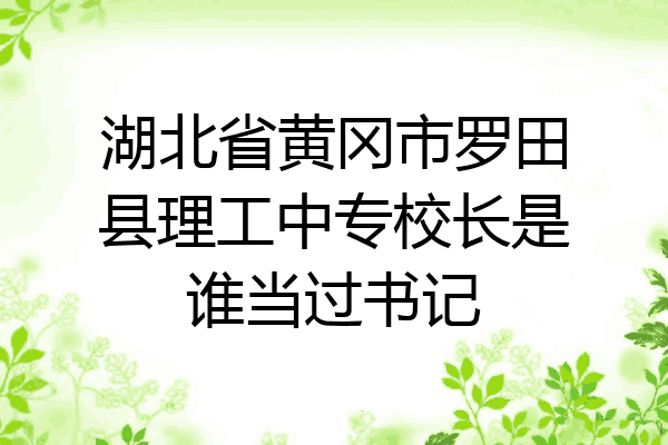 湖北省黄冈市罗田县理工中专校长是谁当过书记