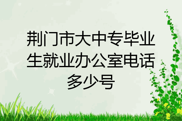 荆门市大中专毕业生就业办公室电话多少号