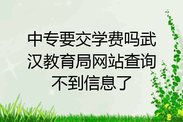 中专要交学费吗武汉教育局网站查询不到信息了