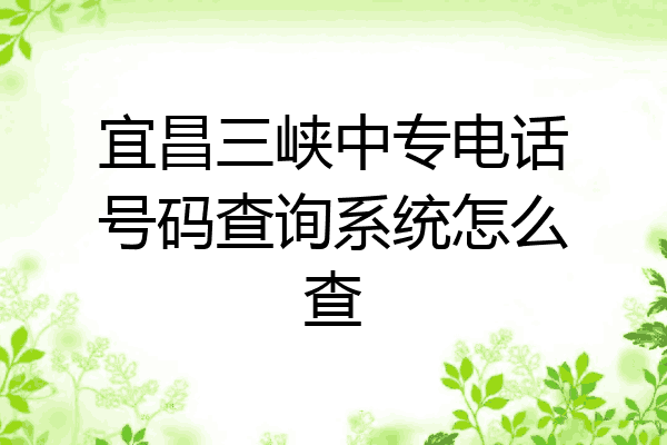 宜昌三峡中专电话号码查询系统怎么查