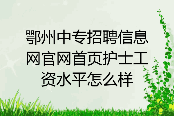 鄂州中专招聘信息网官网首页护士工资水平怎么样