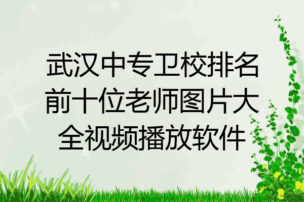 武汉中专卫校排名前十位老师图片大全视频播放软件