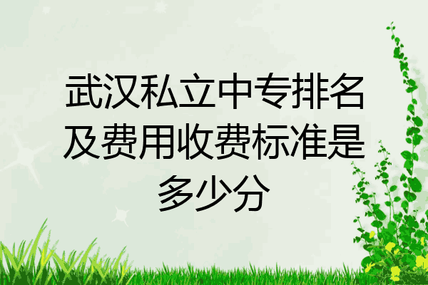 武汉私立中专排名及费用收费标准是多少分