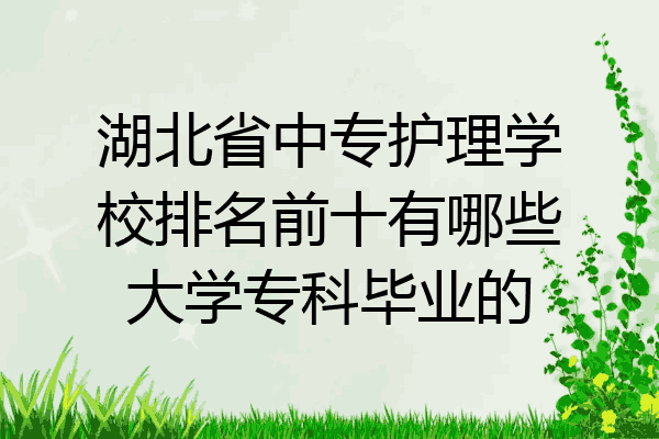 湖北省中专护理学校排名前十有哪些大学专科毕业的
