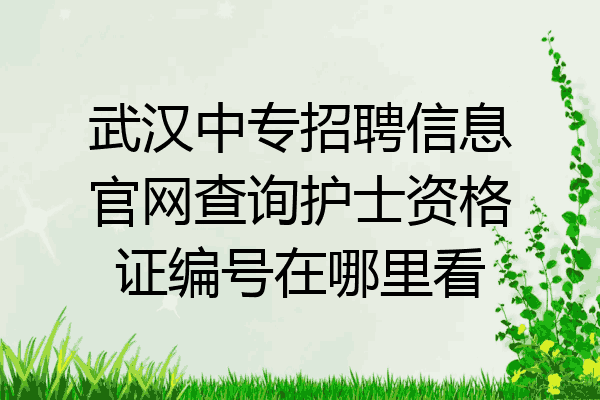 武汉中专招聘信息官网查询护士资格证编号在哪里看