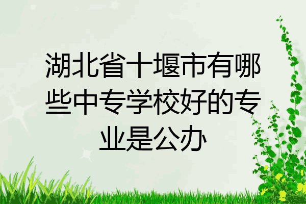 湖北省十堰市有哪些中专学校好的专业是公办