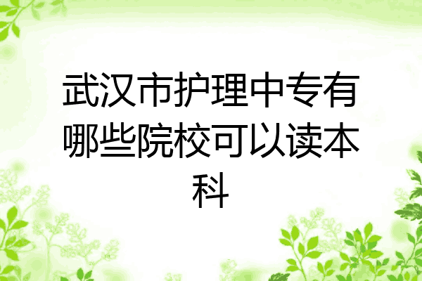 武汉市护理中专有哪些院校可以读本科