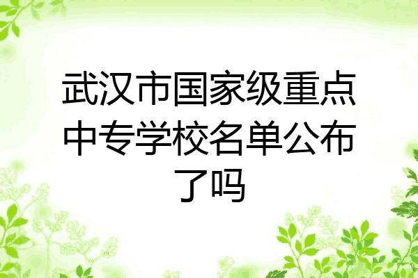 武汉市国家级重点中专学校名单公布了吗