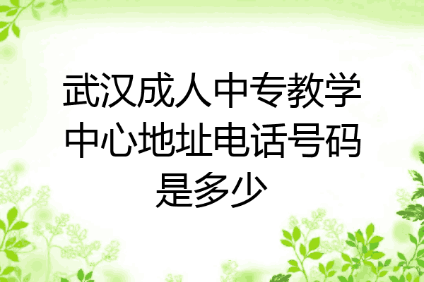 武汉成人中专教学中心地址电话号码是多少