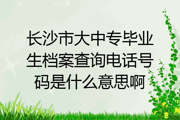 长沙市大中专毕业生档案查询电话号码是什么意思啊