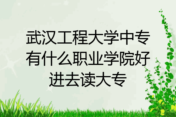 武汉工程大学中专有什么职业学院好进去读大专