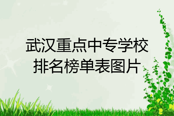 武汉重点中专学校排名榜单表图片