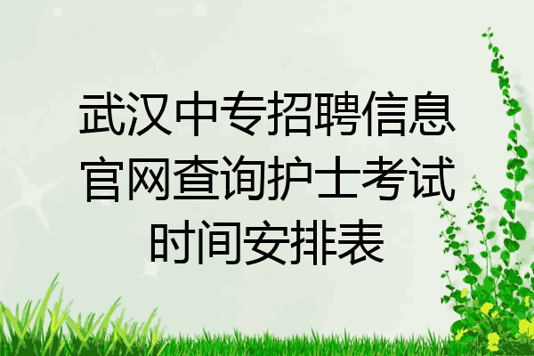 武汉中专招聘信息官网查询护士考试时间安排表