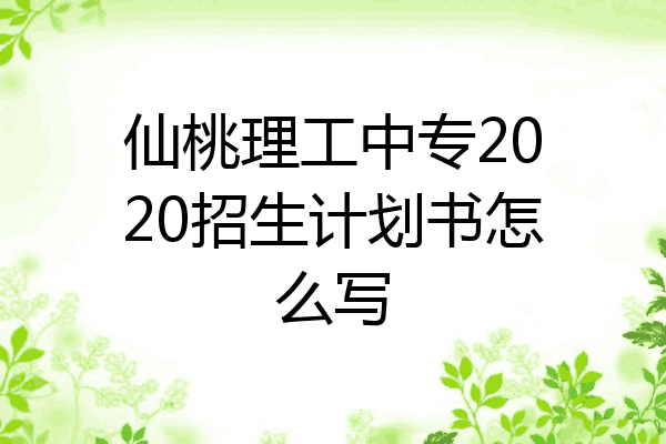仙桃理工中专2020招生计划书怎么写