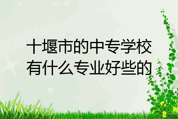十堰市的中专学校有什么专业好些的