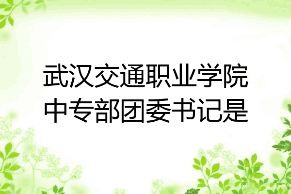 武汉交通职业学院中专部团委书记是