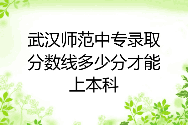 武汉师范中专录取分数线多少分才能上本科