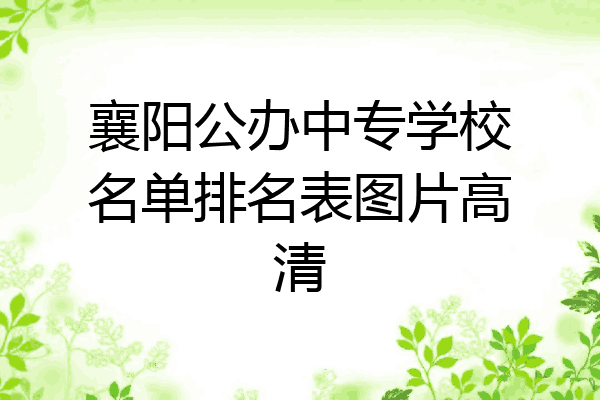 襄阳公办中专学校名单排名表图片高清