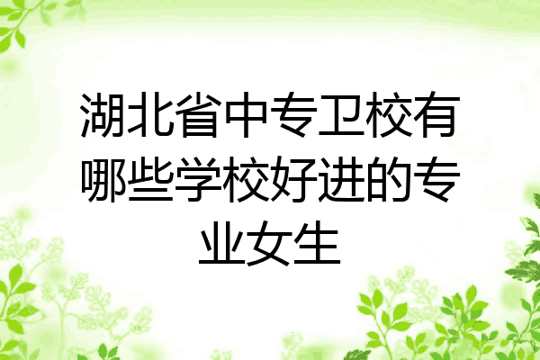 湖北省中专卫校有哪些学校好进的专业女生