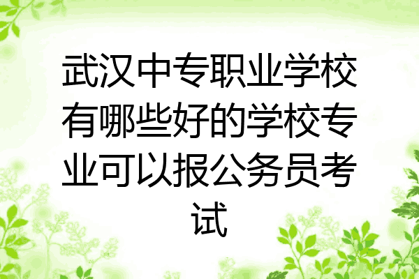 武汉中专职业学校有哪些好的学校专业可以报公务员考试