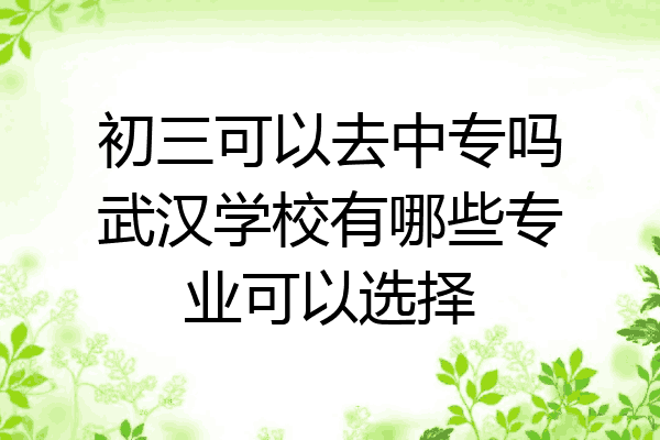 初三可以去中专吗武汉学校有哪些专业可以选择
