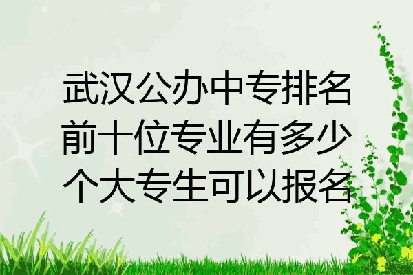 武汉公办中专排名前十位专业有多少个大专生可以报名