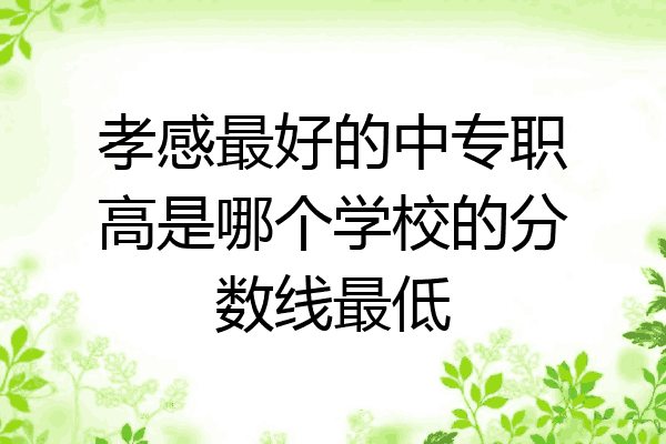 孝感最好的中专职高是哪个学校的分数线最低