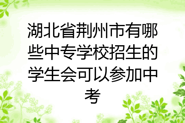湖北省荆州市有哪些中专学校招生的学生会可以参加中考