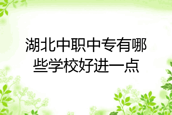 湖北中职中专有哪些学校好进一点