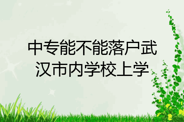 中专能不能落户武汉市内学校上学