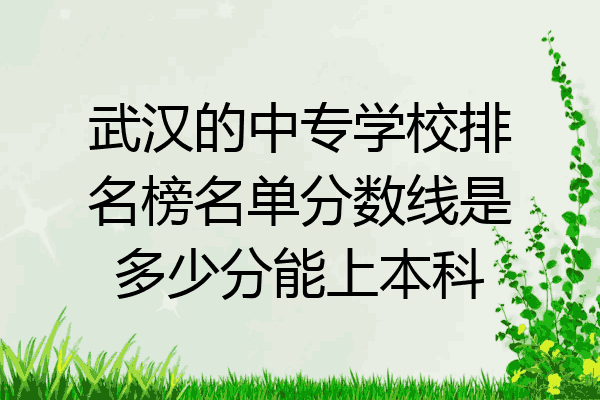 武汉的中专学校排名榜名单分数线是多少分能上本科