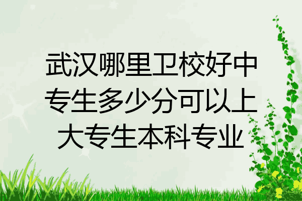 武汉哪里卫校好中专生多少分可以上大专生本科专业