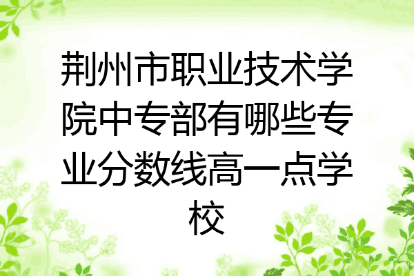 荆州市职业技术学院中专部有哪些专业分数线高一点学校