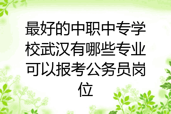 最好的中职中专学校武汉有哪些专业可以报考公务员岗位