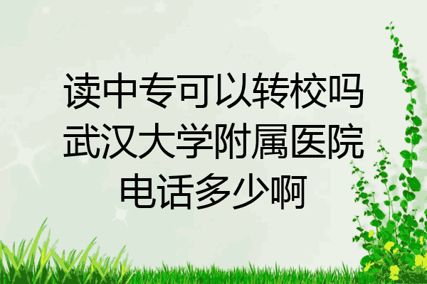 读中专可以转校吗武汉大学附属医院电话多少啊