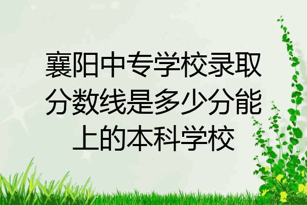 襄阳中专学校录取分数线是多少分能上的本科学校