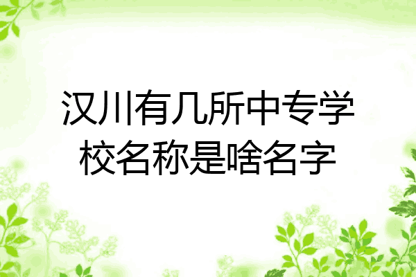 汉川有几所中专学校名称是啥名字
