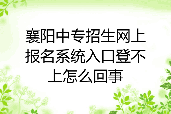 襄阳中专招生网上报名系统入口登不上怎么回事