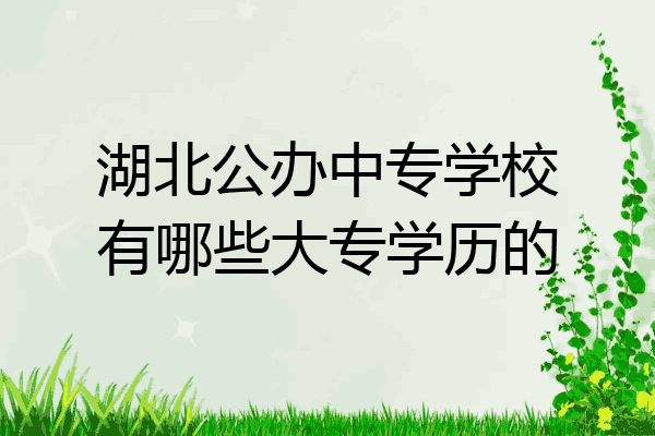 湖北公办中专学校有哪些大专学历的